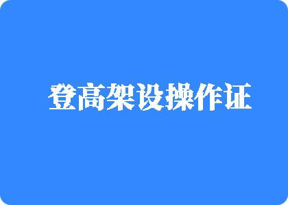 你的鸡把好爽啊啊啊在线登高架设操作证